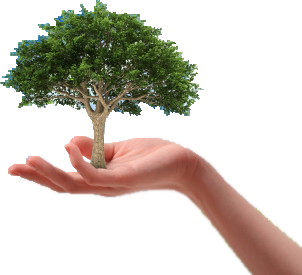 Internet aanvragen zakelijk