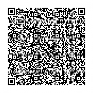 Ergensinnl_qr_full
